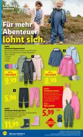 Lidl Flugblatt woche 7 Seite 36