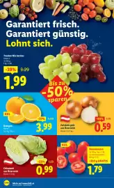 Lidl Flugblatt woche 7 Seite 8