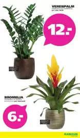 Ranzijn folder Pagina 7