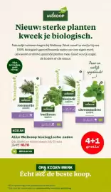 Welkoop folder week 7 Pagina 12