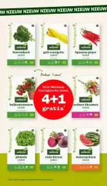 Welkoop folder week 7 Pagina 13