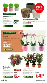 Welkoop folder week 7 Pagina 16