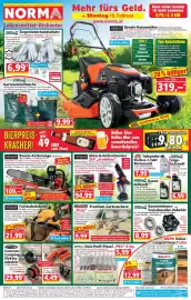 Norma Prospekt woche 8 Seite 1