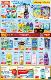 Norma Prospekt woche 8 Seite 11