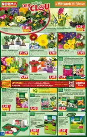 Norma Prospekt woche 8 Seite 14