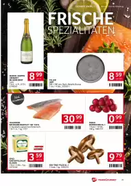 Transgourmet Flugblatt woche 8 Seite 23