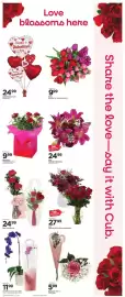 Cub Foods weekly ad week 7 Page 5