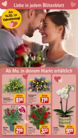 REWE Prospekt woche 7 Seite 6