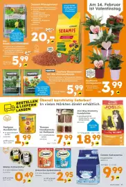 Globus Baumarkt Prospekt Seite 11