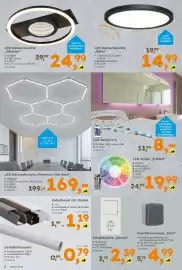 Globus Baumarkt Prospekt Seite 8