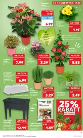 Kaufland Prospekt woche 7 Seite 7