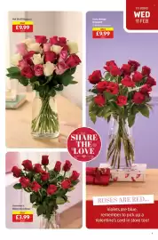 Aldi leaflet week 7 Page 9