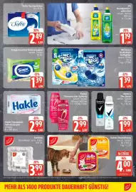 Marktkauf Prospekt Seite 17