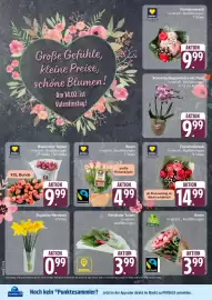 Marktkauf Prospekt Seite 4