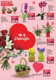Kaufland leták týden 7 Strana 28