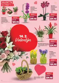 Kaufland leták týden 7 Strana 28