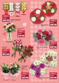 Kaufland leták týden 7 Strana 29