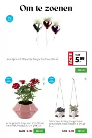 Intratuin folder week 7 Pagina 2