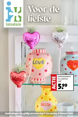 Intratuin folder (geldig t/m 15-02)