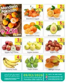 Everyday Center catalogue Page 3