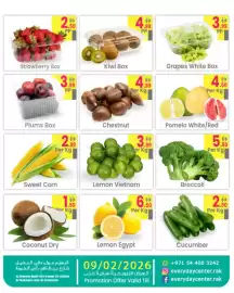 Everyday Center catalogue Page 4