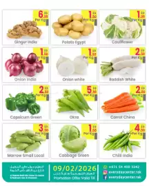 Everyday Center catalogue Page 5