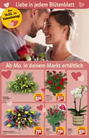REWE Center Prospekt woche 7 Seite 6