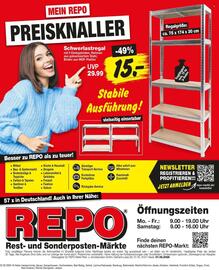 Repo Markt Prospekt woche 7 Seite 16