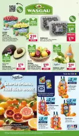 Wasgau Prospekt woche 7 Seite 6