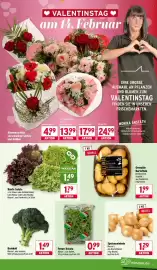 Wasgau Prospekt woche 7 Seite 7