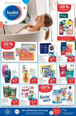 Budni Prospekt (gültig bis 21-02)