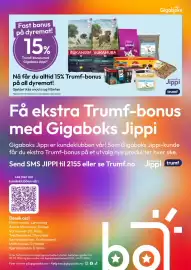 Gigaboks kundeavis uke 7 Side 9