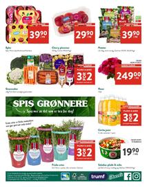 Jacobs kundeavis Side 4