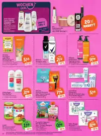 Basic Prospekt Seite 20