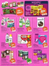 Basic Prospekt Seite 21