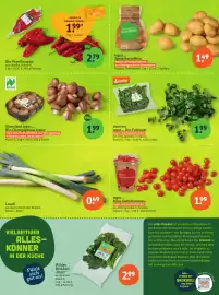 Basic Prospekt Seite 4