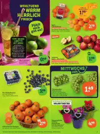 Basic Prospekt Seite 5