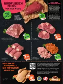 Basic Prospekt Seite 7