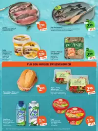 Basic Prospekt Seite 8