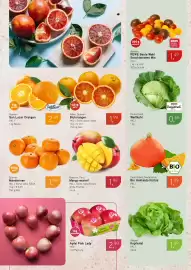 Dornseifer Prospekt woche 7 Seite 8