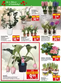 Herkules Baumarkt Prospekt woche 7 Seite 2