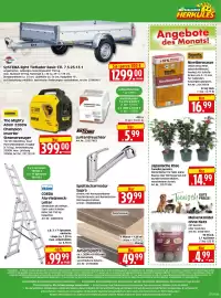 Herkules Baumarkt Prospekt woche 7 Seite 8