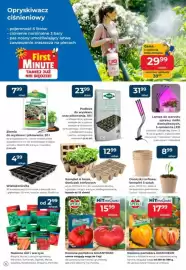 Mrówka gazetka Strona 6