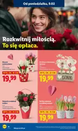 Lidl gazetka Strona 14
