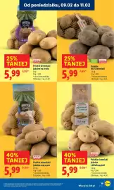 Lidl gazetka Strona 19