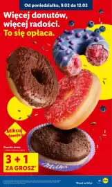 Lidl gazetka Strona 21