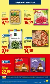 Lidl gazetka Strona 33
