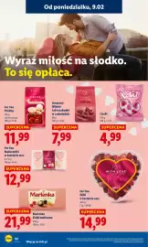 Lidl gazetka Strona 52
