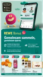 REWE PETZ Prospekt woche 7 Seite 3