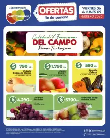 Catálogo Surtifamiliar semana 6 Página 4